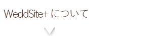 ラルタンについて