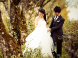 LANDwed 2016-07-01 19.20.51.png