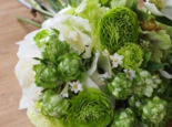 S__8396804.jpg