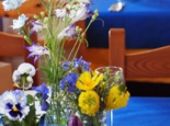 S__8396807.jpg